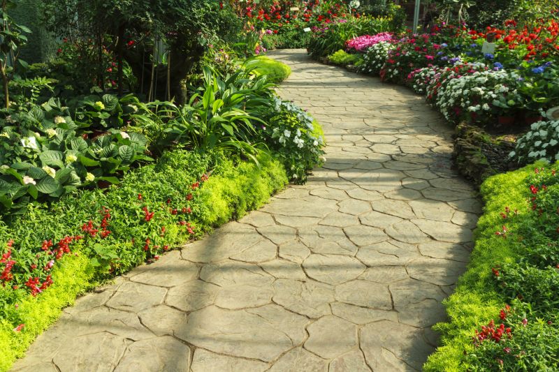 Paver Walkway Cleaning